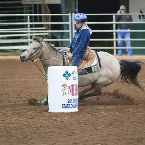 Meet your Posher, Debbie